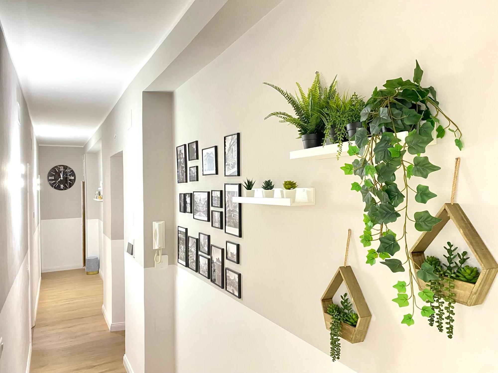 Capuanshome-intero Appartamento *